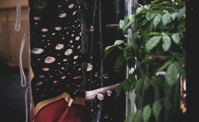 6 Smack, Chimera, Cross club